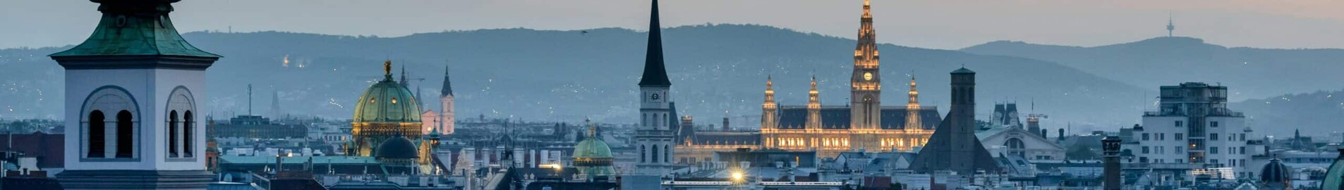 Hampuri - Wien : yksityisen suihkukoneen vuokraus