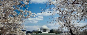 Los Angeles - Washington DC : yksityisen suihkukoneen vuokraus