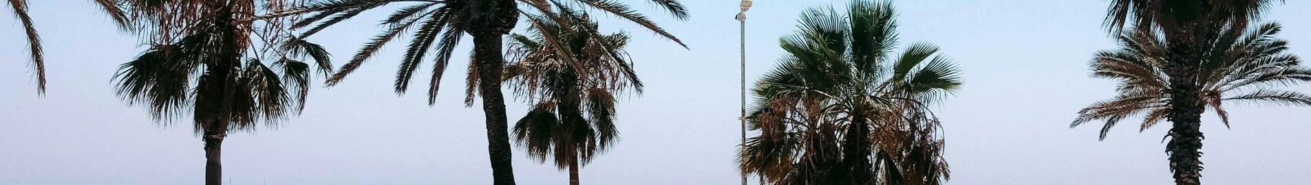 Frankfurt - Barcelona: yksityisen suihkukoneen vuokraus