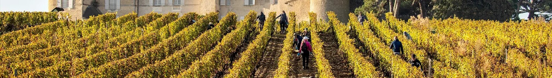 Bordeaux'n viinitarhat: helikopterikokemus