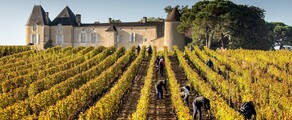 Bordeaux'n viinitarhat: helikopterikokemus