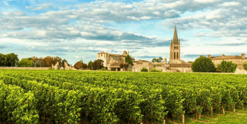 Bordeaux'n viinitarhat: helikopterikokemus